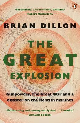 The Great Explosion(English, Paperback, Dillon Brian)