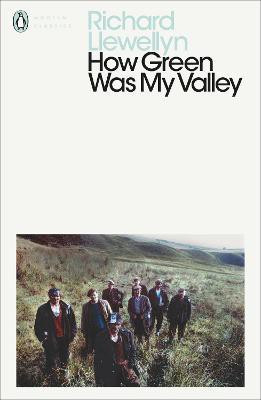 How Green Was My Valley(English, Paperback, Llewellyn Richard)
