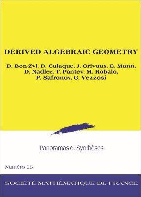Derived Algebraic Geometry(English, Paperback, Ben-Zvi David)