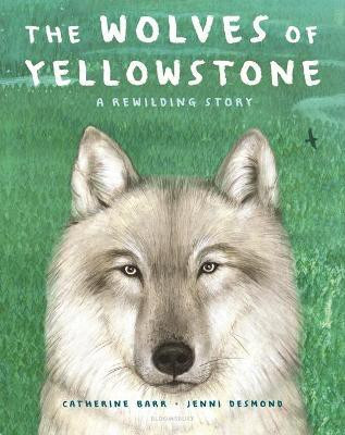 The Wolves of Yellowstone(English, Hardcover, Barr Catherine)