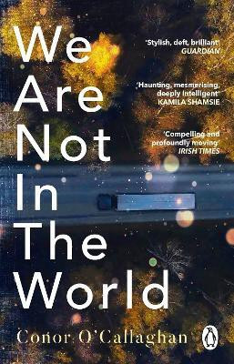 We Are Not in the World(English, Paperback, O'Callaghan Conor)