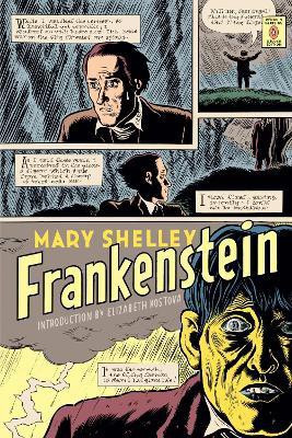 Frankenstein (Penguin Classics Deluxe Edition)(English, Paperback, Shelley Mary)