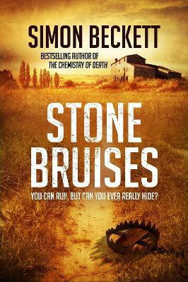 Stone Bruises(English, Paperback, Beckett Simon)