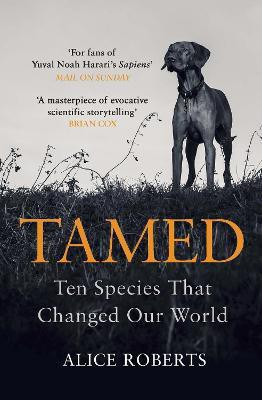 Tamed(English, Paperback, Roberts Alice)