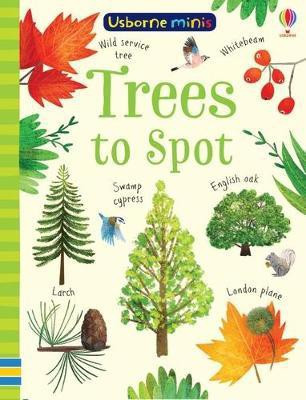 Trees to Spot(English, Paperback, Robson Kirsteen)