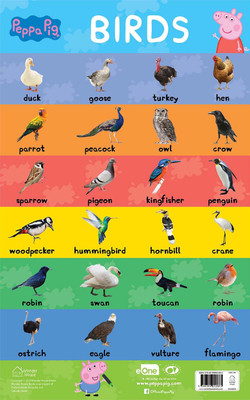 Learn with Peppa Early Learning Birds Chart for Children(English, Paperback, unknown)