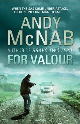 For Valour(English, Paperback, McNab Andy)