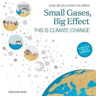 Small Gases, Big Effect(English, Hardcover, Nelles David)