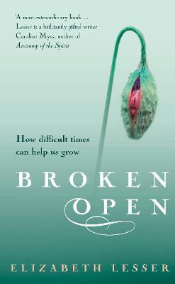 Broken Open(English, Paperback, Lesser Elizabeth)