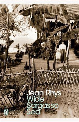 Wide Sargasso Sea(English, Paperback, Rhys Jean)