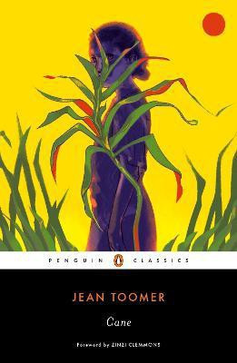 Cane(English, Paperback, Toomer Jean)