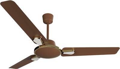 CROMPTON Energion Stylus Anti Dust with Energy Saving (BLDC) Technology 1200 mm 3 Blade Ceiling Fan