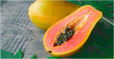 seedagro fresh red lady papaya fruit hybrid 50 seeds pack Seed(50 per packet)