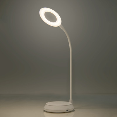 Flipkart SmartBuy FKSB-6059 Study Lamp (25 cm, White) Offers & Cashback