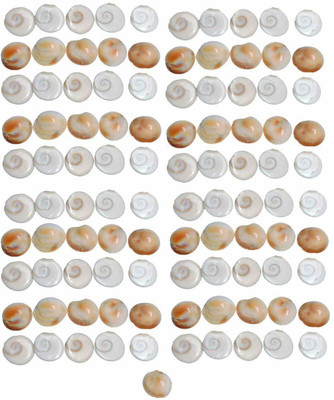 Alokik Gomti Chakra (1.5 cm, Brownish) -101 Pieces Stoneware Yantra(Pack of 101)