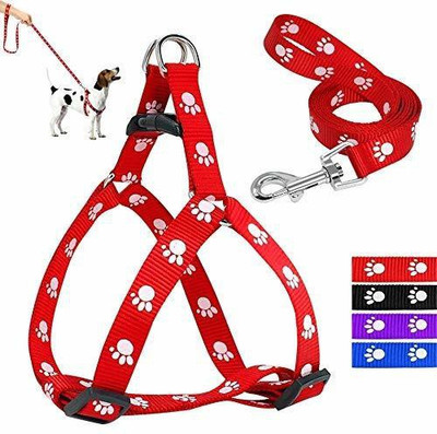 Woofy 15 mm Paw Print Leash and Harness Set for Small & Medium Puppy | Dog Harness and Leash (Color May Vary) Dog Harness & Leash(Medium, Multicolor)