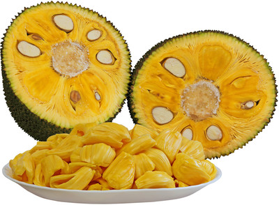 Aquinnah Graden Jackfruit Plant(Hybrid, Pack of 1)