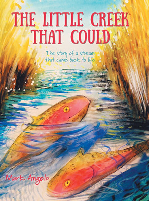 The Little Creek That Could(English, Hardcover, Angelo Mark)