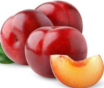 PB honey priya plant Aloo Bukhara/Plum Plant(Hybrid, Pack of 1)