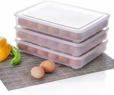 RAIYARAJ Plastic Egg Container  - 2 dozen(Pack of 3, White)