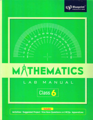 Mathematics Lab Manual 6(Paperback, ALOK AIRAN)