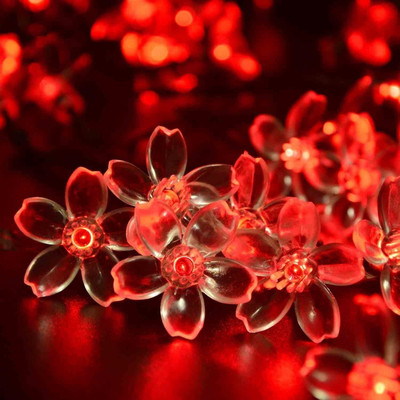 NISCO 16 LEDs 3 m Red Steady Flower Rice Lights(Pack of 1)