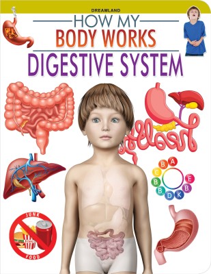 Digestive System - How My Body Works(English, Paperback, Dreamland Publications)