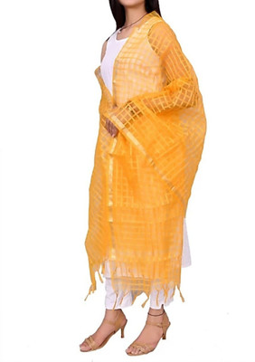 SKANDU Net Checkered Women Dupatta