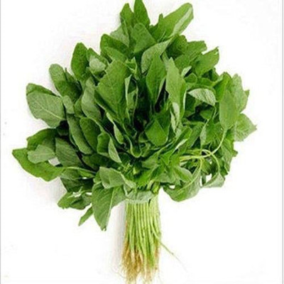 Aywal Cholai Saag Seed(500 per packet)