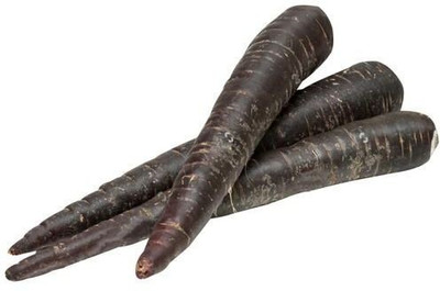 LYRS Black Carrot Seed Seed(20 per packet)
