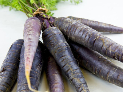 XOLDA Carrot Black Seed(35 per packet)