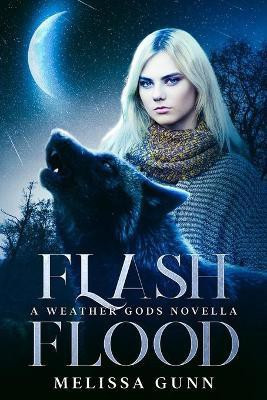 Flash Flood(English, Paperback, Gunn Melissa)