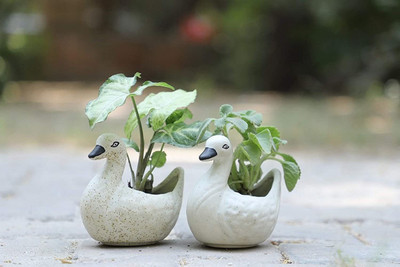 Jimkia Pack of 2 Ceramic Bird Shape Plant Container Set,Planter Pot .Handcrafted Ceramic Bird shape planter for Indoor and Outdoor or Gifting purpose Plant Container Set(Pack of 2, Ceramic)
