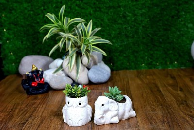 Jimkia Ceramic Small Planter Pot, Elephant & Owl, Pack Of 2,( Matte white) For Succulent Plants Pot, Handmade Plant Container / Flower Pot For Tarrace & Balcony & Garden Decoration ETC. (Plant Not Included) Plant Container Set(Pack of 2, Ceramic)