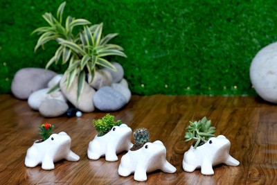 Jimkia Ceramic Small Planter Pot, Frog Shape Pot Set Of 4 ( Matte white) For Succulent Plants Pot, Handmade Plant Container / Flower Pot For Tarrace & Balcony & Garden Decoration ETC. (Plant Not Included) Plant Container Set(Pack of 4, Ceramic)