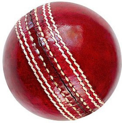 The Bhavya Sports Leather Ball Cricket Leather Ball(Pack of 1, Red)