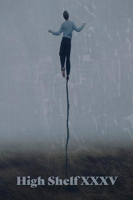 High Shelf XXXV(English, Paperback, unknown)