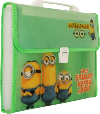 Shyam Creation plastic folder(Set Of 1, Multicolor)