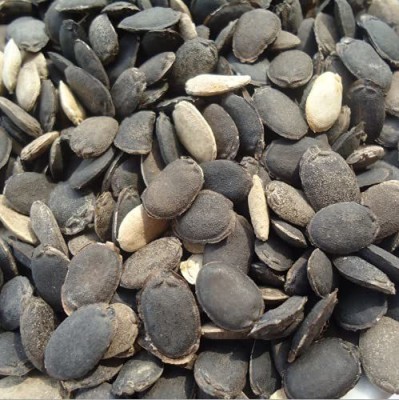 MKR Enterprises Spong Gourd Seed(50 per packet)