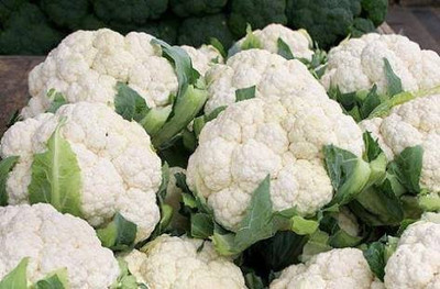 Biosnyg ®VXV-159 Desi Variety Cauliflower Phool Gobhi Seed(200 per packet)