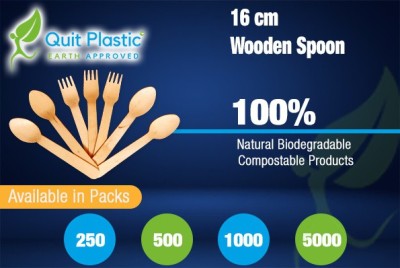 Quit Plastic 16CM WOODEN SPOON SETS Disposable Wooden Table Spoon Set(Pack of 250)