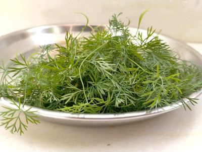 XOLDA Organic soya dill Seed(35 per packet)