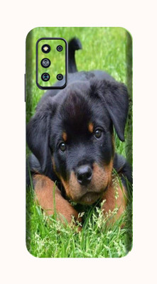 Toppings Samsung Galaxy F52 5G Mobile Skin(Green)