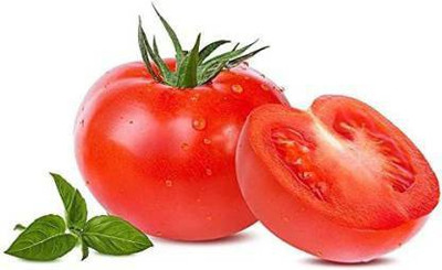 THAMMAR tomato Seed(500 per packet)