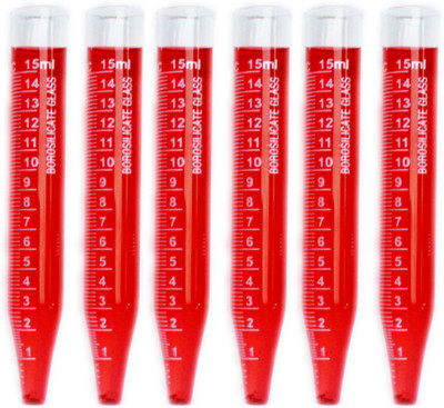 THE LABWORLD 15 ml Rimmed Borosilicate Glass Test Tube(12 cm 700 K Pack of 6)