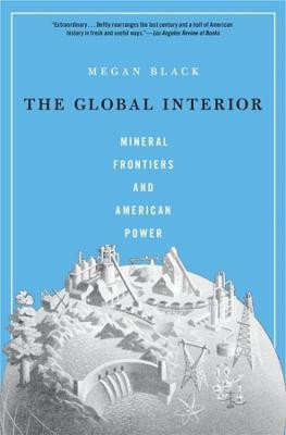 The Global Interior(English, Paperback, Black Megan)