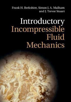 Introductory Incompressible Fluid Mechanics(English, Paperback, Berkshire Frank H.)
