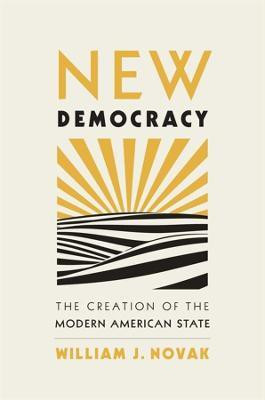 New Democracy(English, Hardcover, Novak William J.)