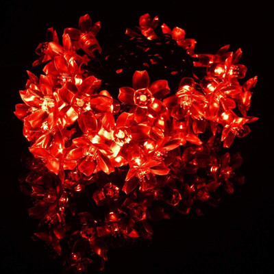 RSP Quality Bit 20 LEDs 5 m Red Steady Flower Rice Lights(Pack of 1)