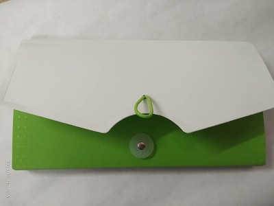 Nivi polypropylene Expanding Cheque Book Holder Case(Set Of 2, White, Green)
